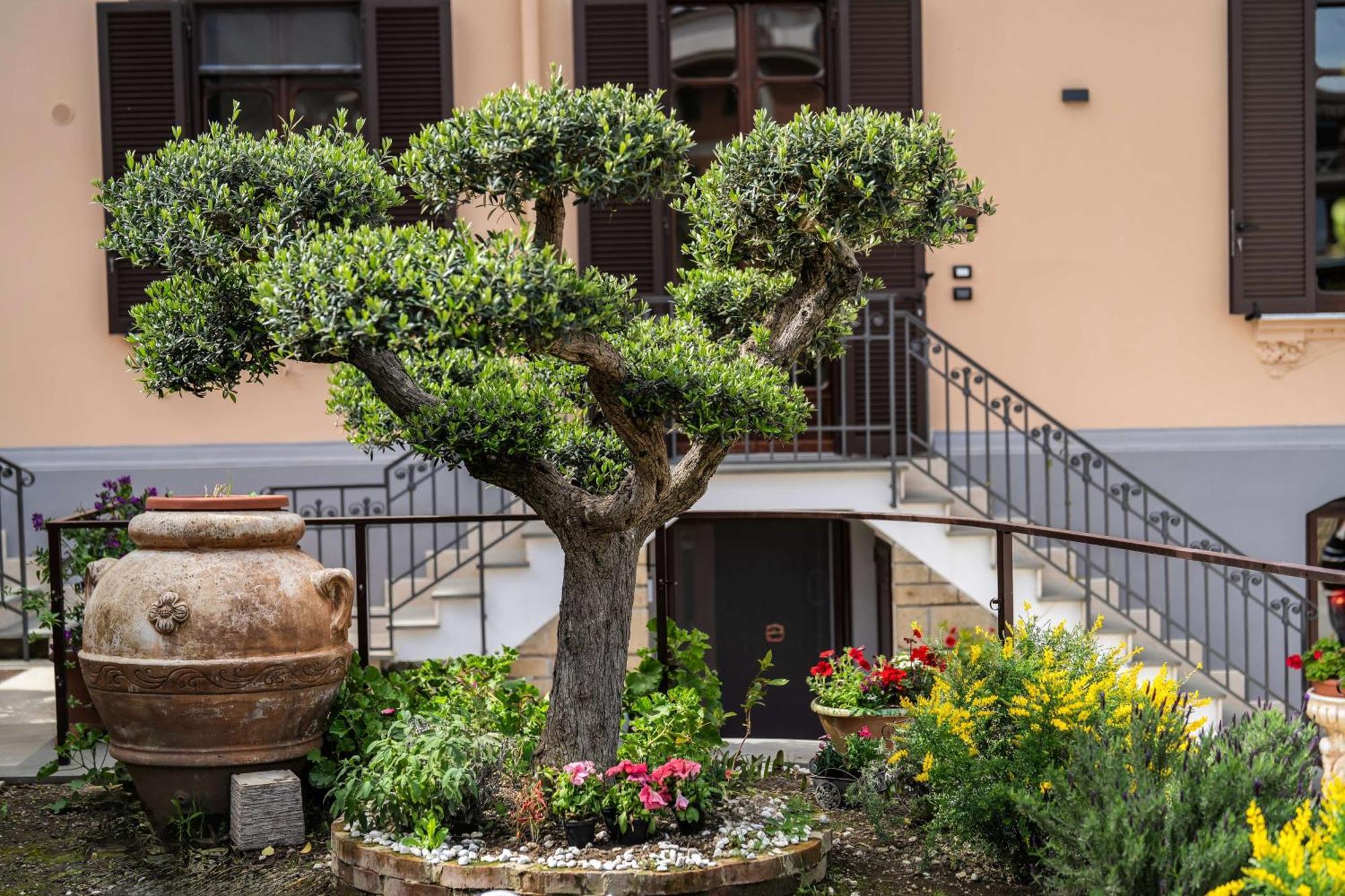 Villa Agostino Luxury B&B ヴィーコ・エクエンセ エクステリア 写真